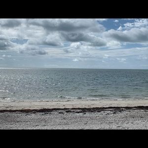 Meet your Posher, Evelyn